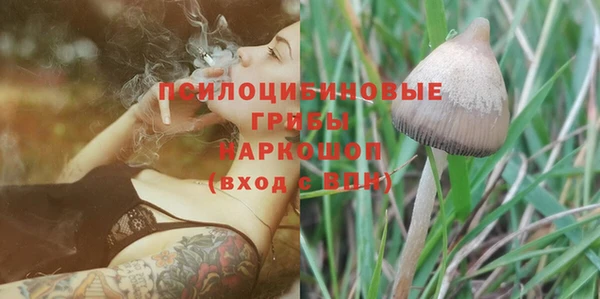 сатива Волосово